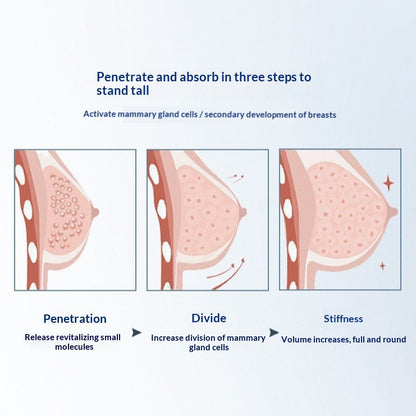 Premium HA Filler for Breast & Booty Lift
